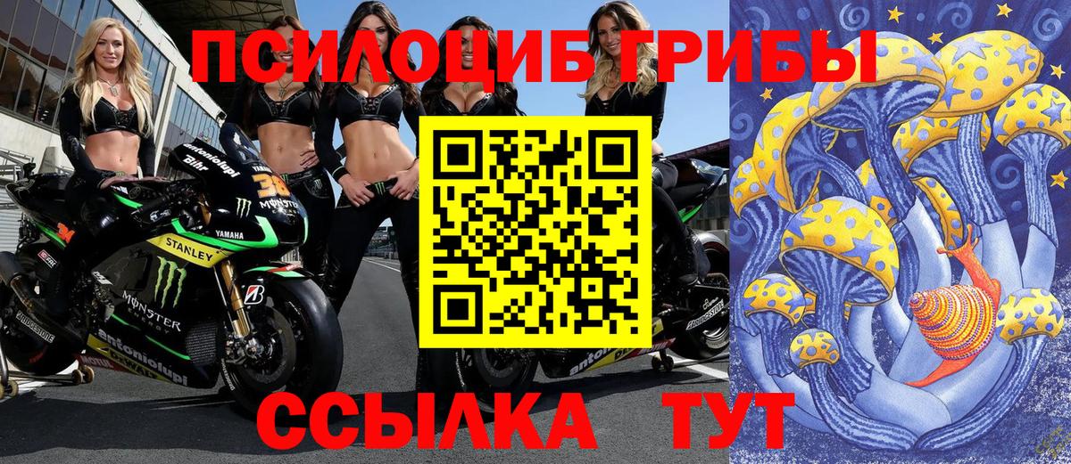 Псилоцибиновые грибы Psilocybine cubensis  Вход с VPN  Владивосток  где купить наркоту  Псилоцибиновые грибы ЛСД 